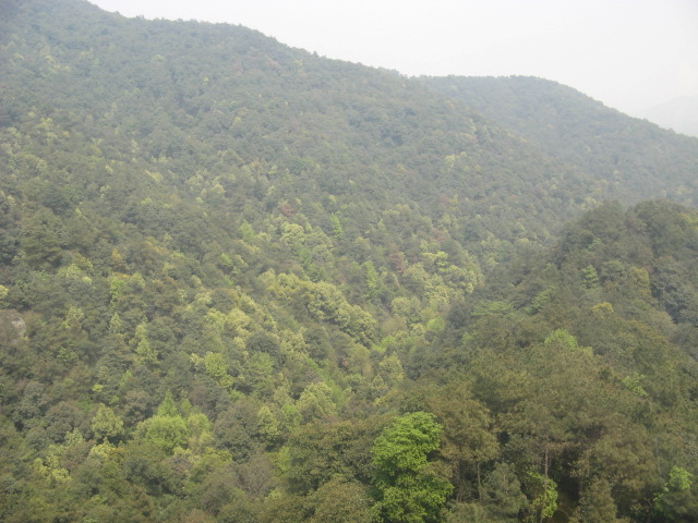 我驴我乐山水间