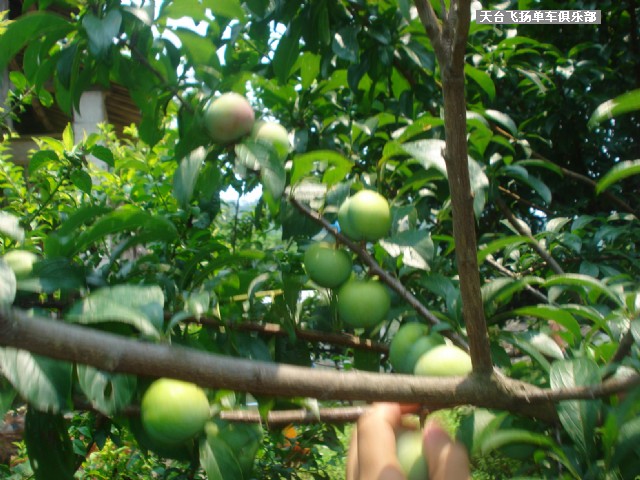 6月13日骑行雷峰西岭