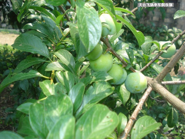 6月13日骑行雷峰西岭
