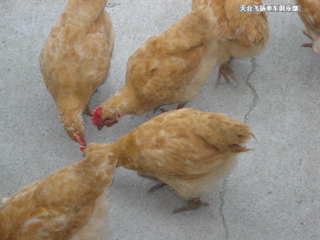 6月13日骑行雷峰西岭