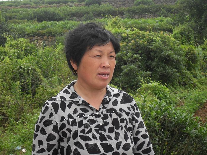 十八潭五人行记