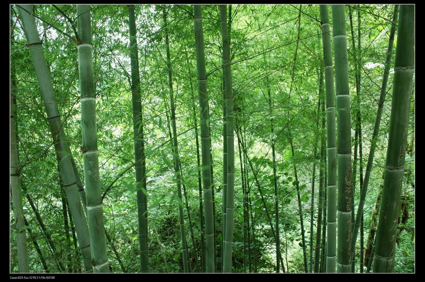 天湖景区一组