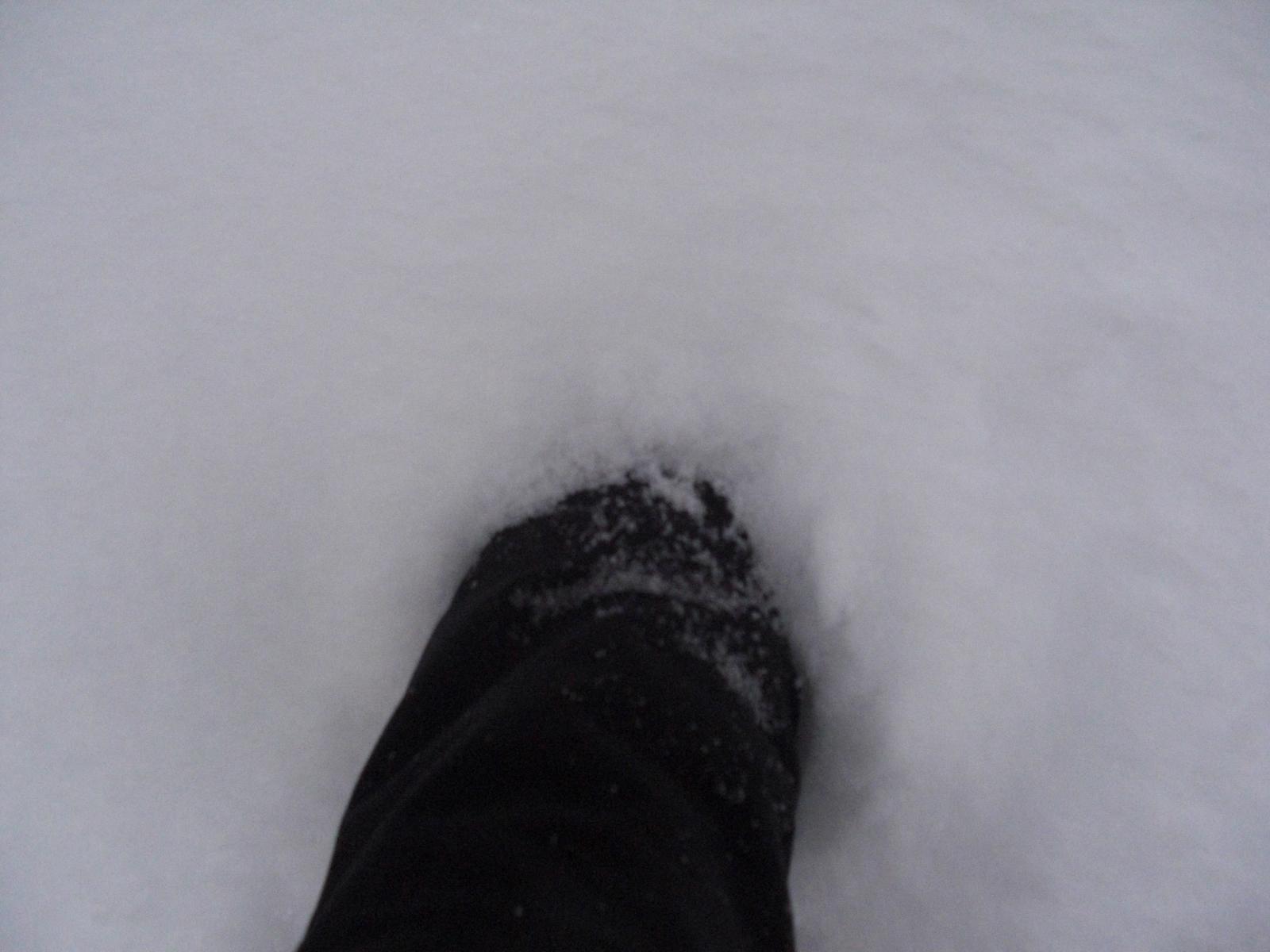 新疆的雪---小区楼下随手一拍