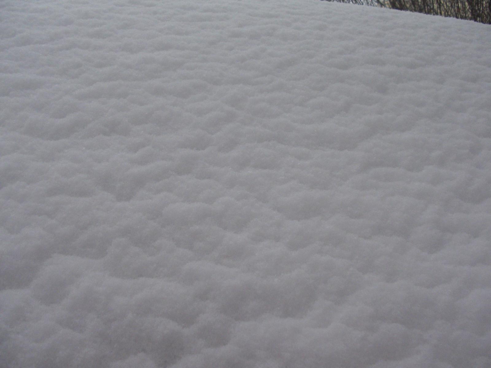 新疆的雪---小区楼下随手一拍