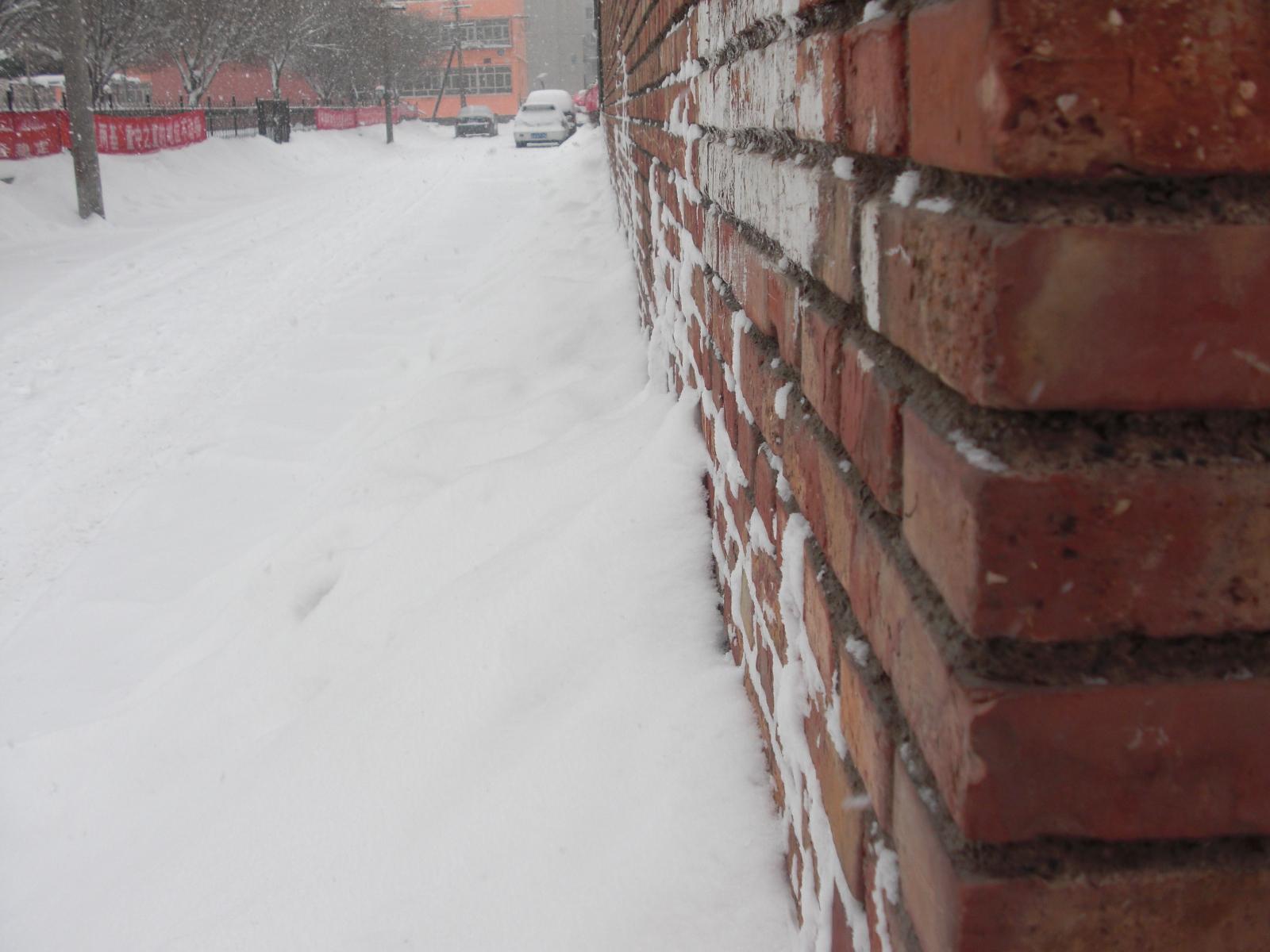 新疆的雪---小区楼下随手一拍