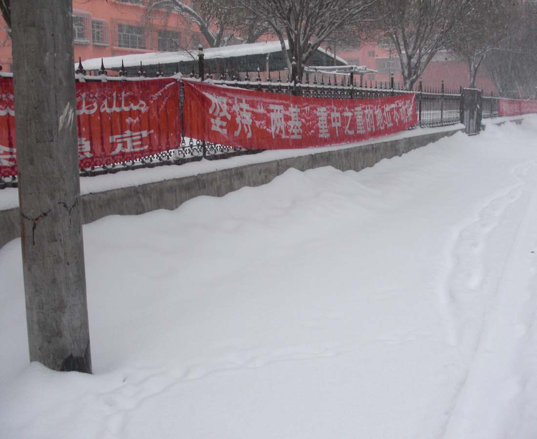 新疆的雪---小区楼下随手一拍