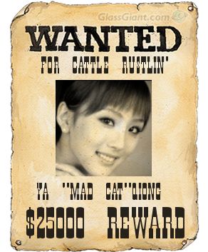 Most Wanted