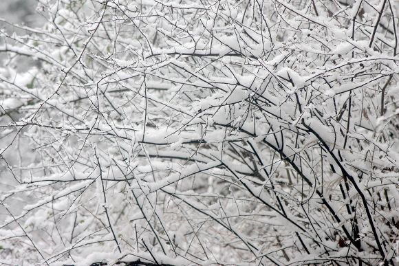 2010年第一场雪