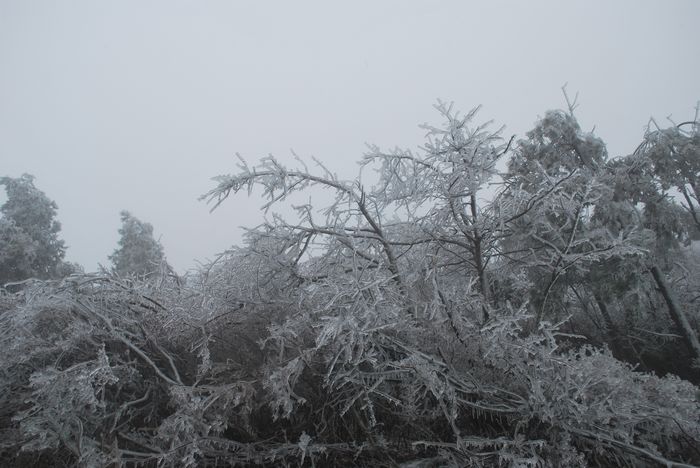 2010年春节苍山顶