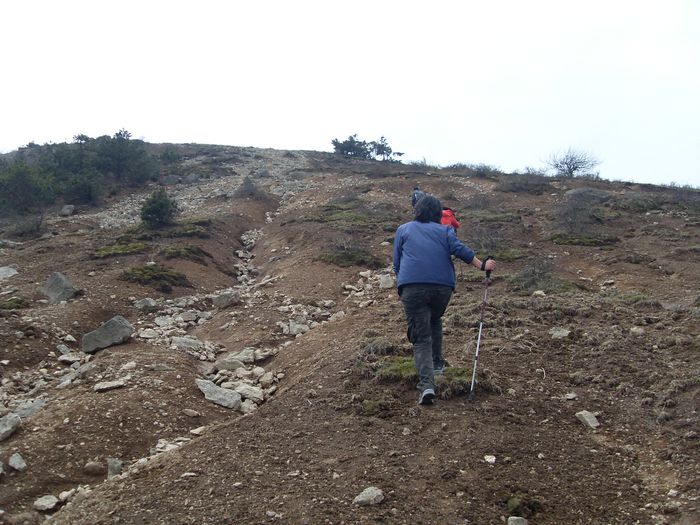 挺进大雷山