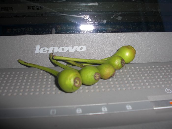尸体