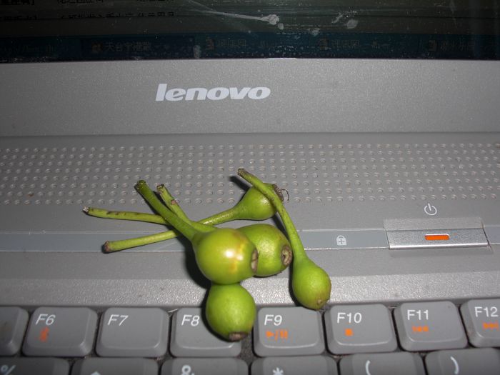 尸体