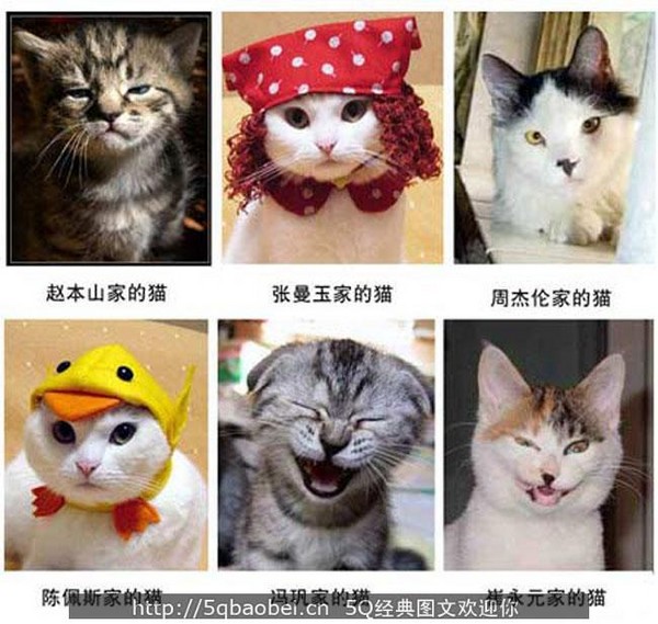 超级搞笑图片！~