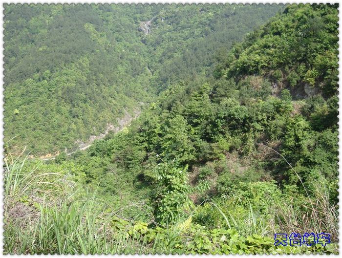 美景2.jpg