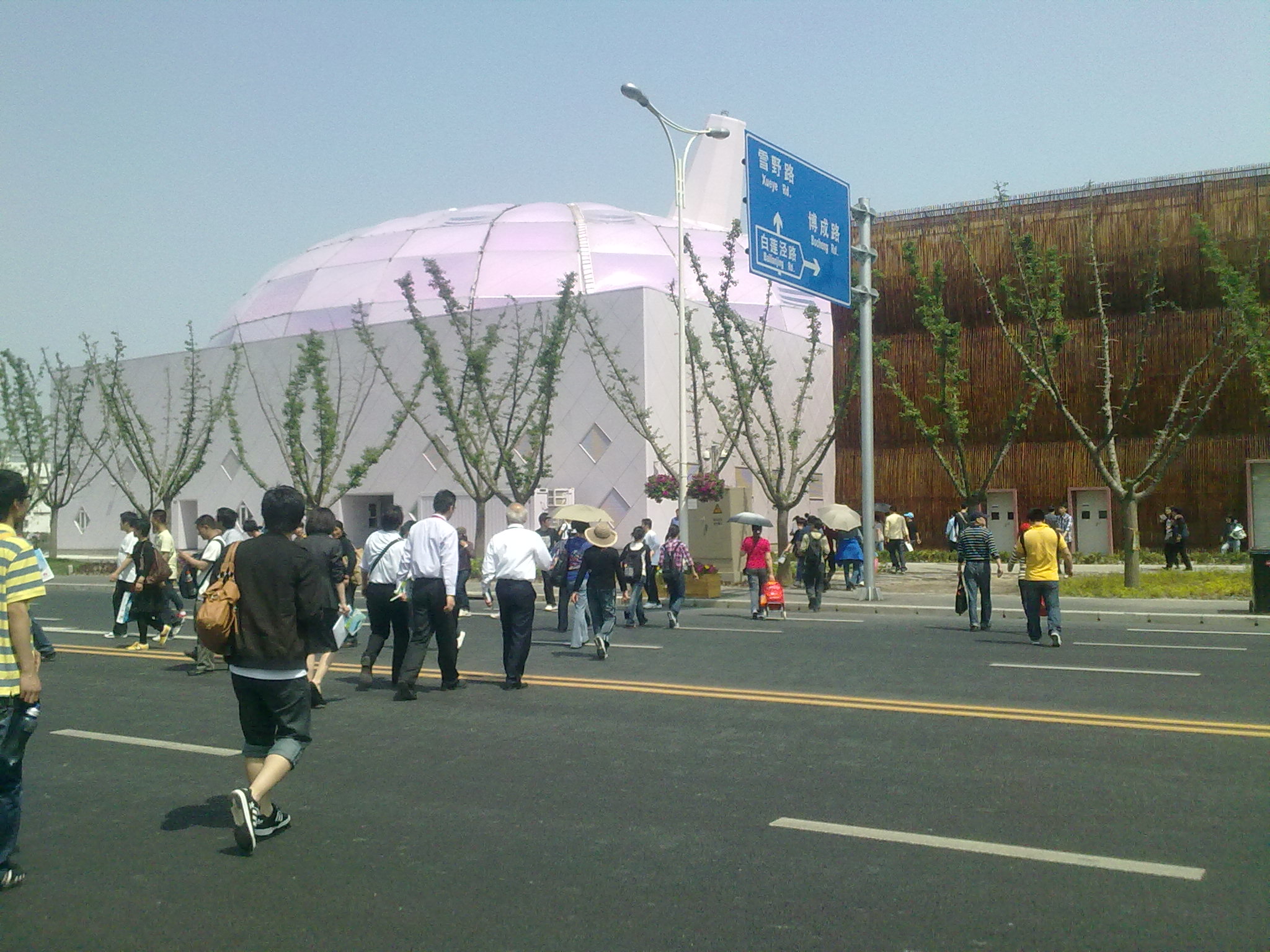20100502039.jpg