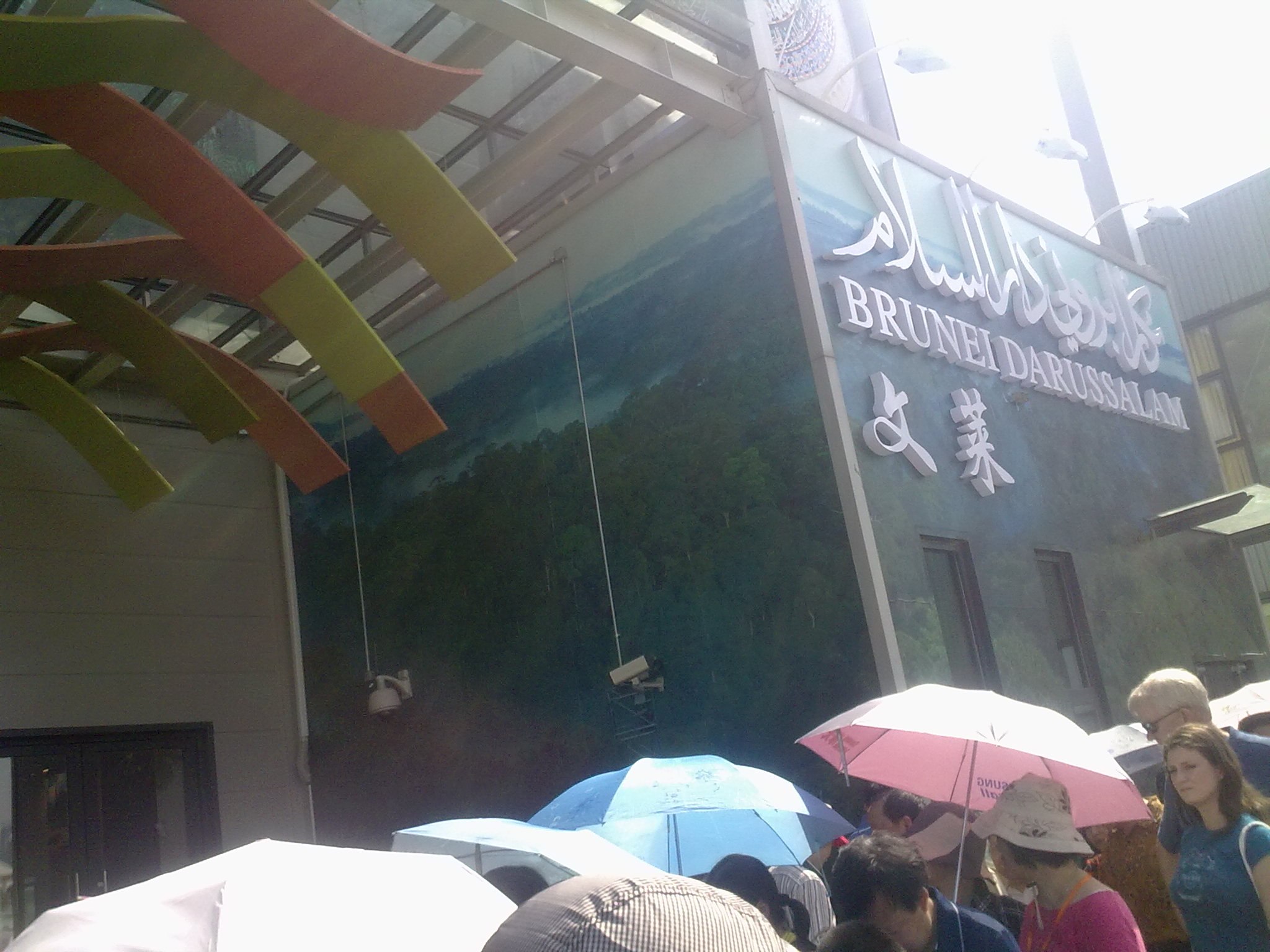 20100502080.jpg