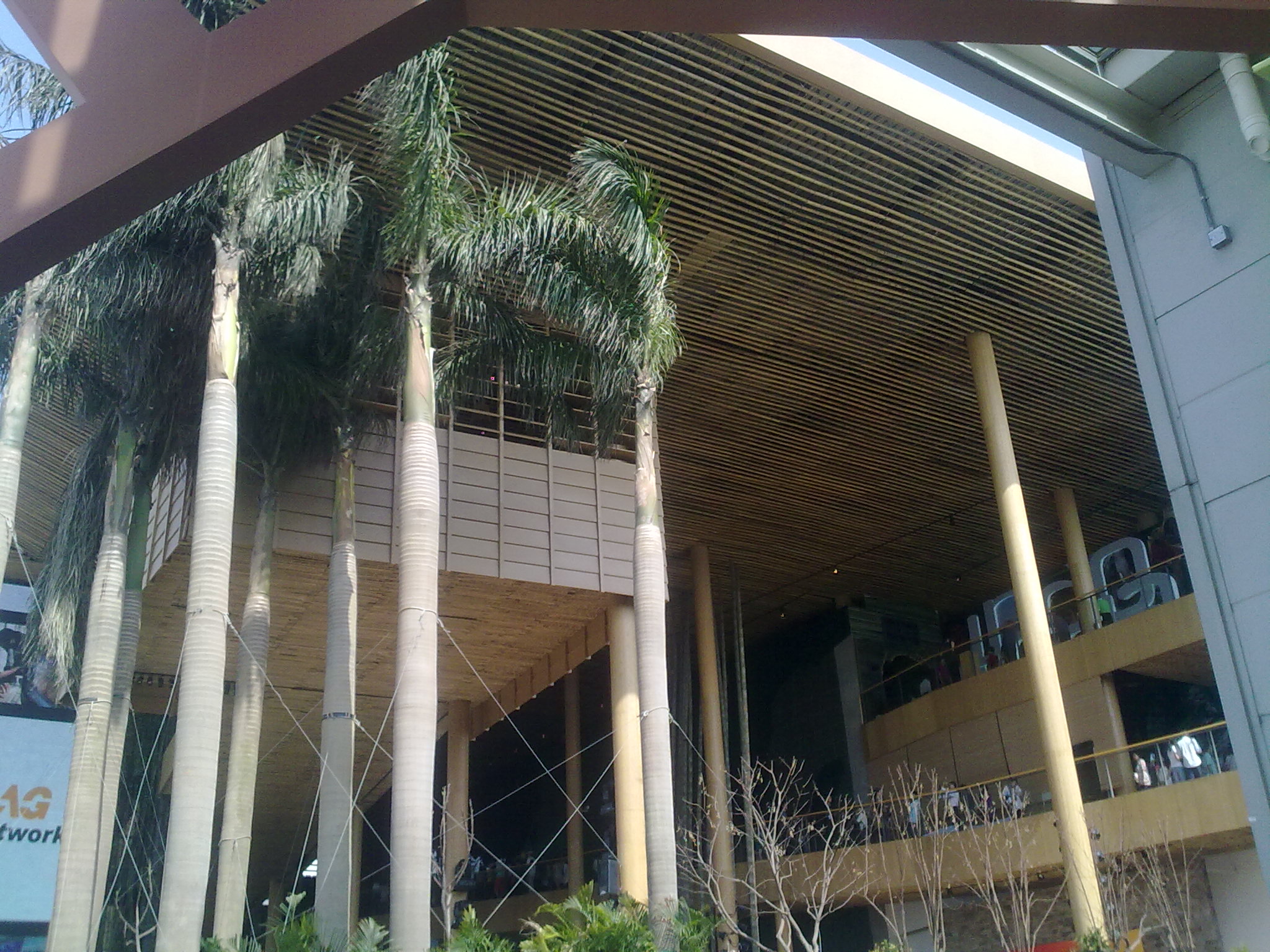 20100502082.jpg
