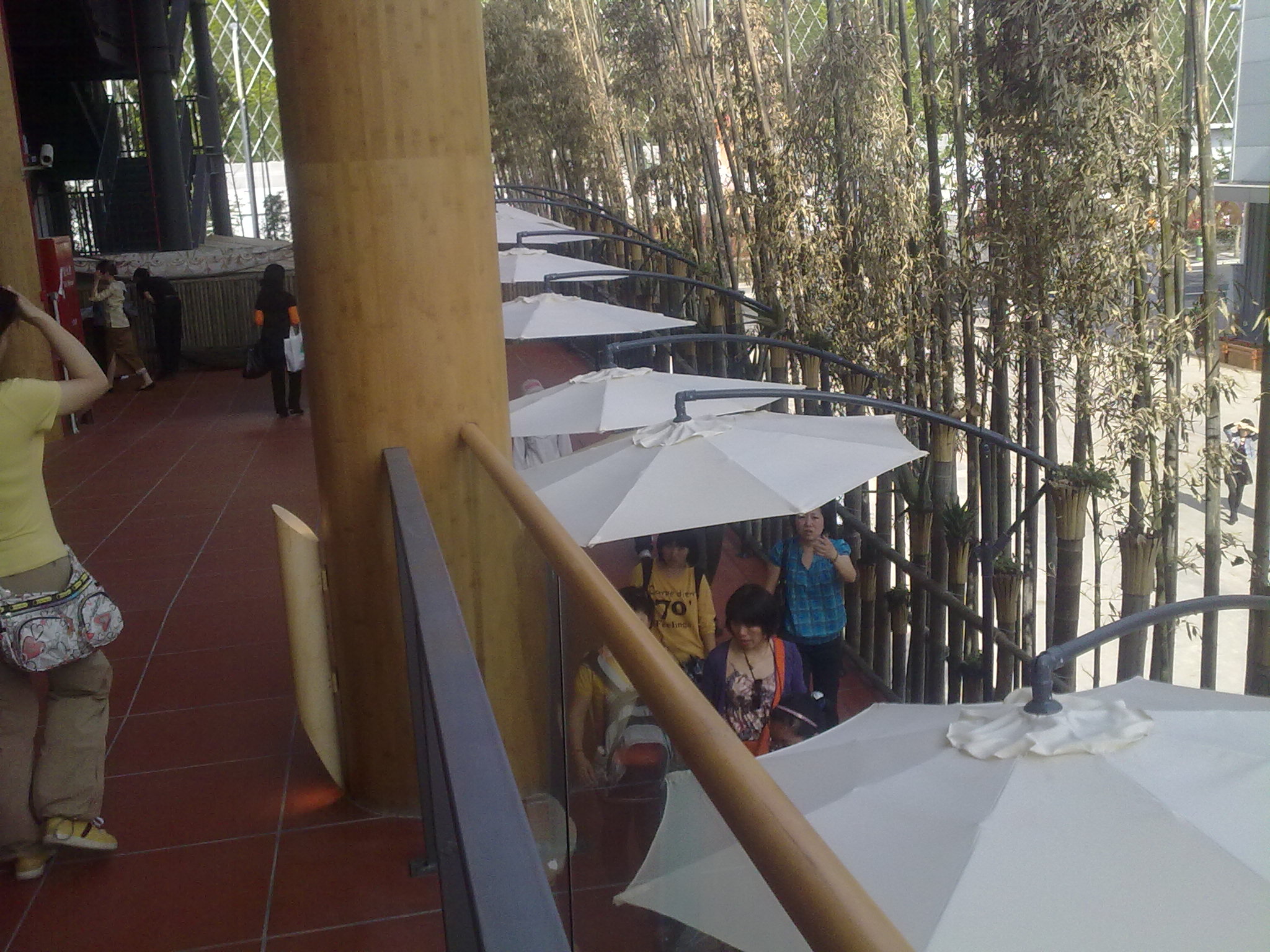 20100502099.jpg