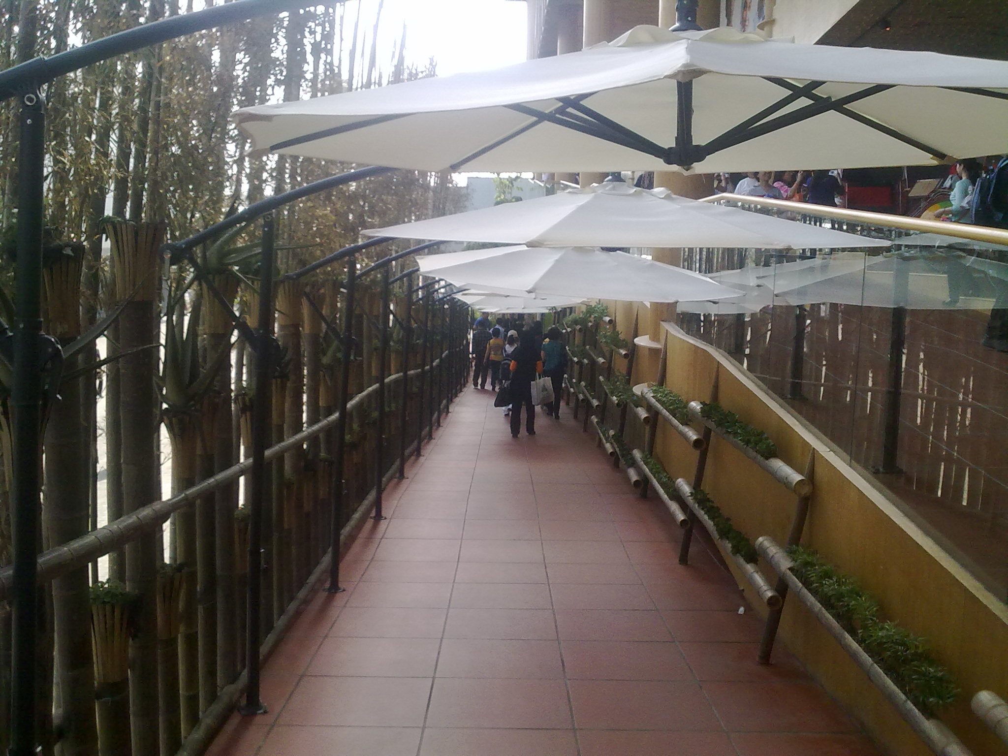 20100502100.jpg