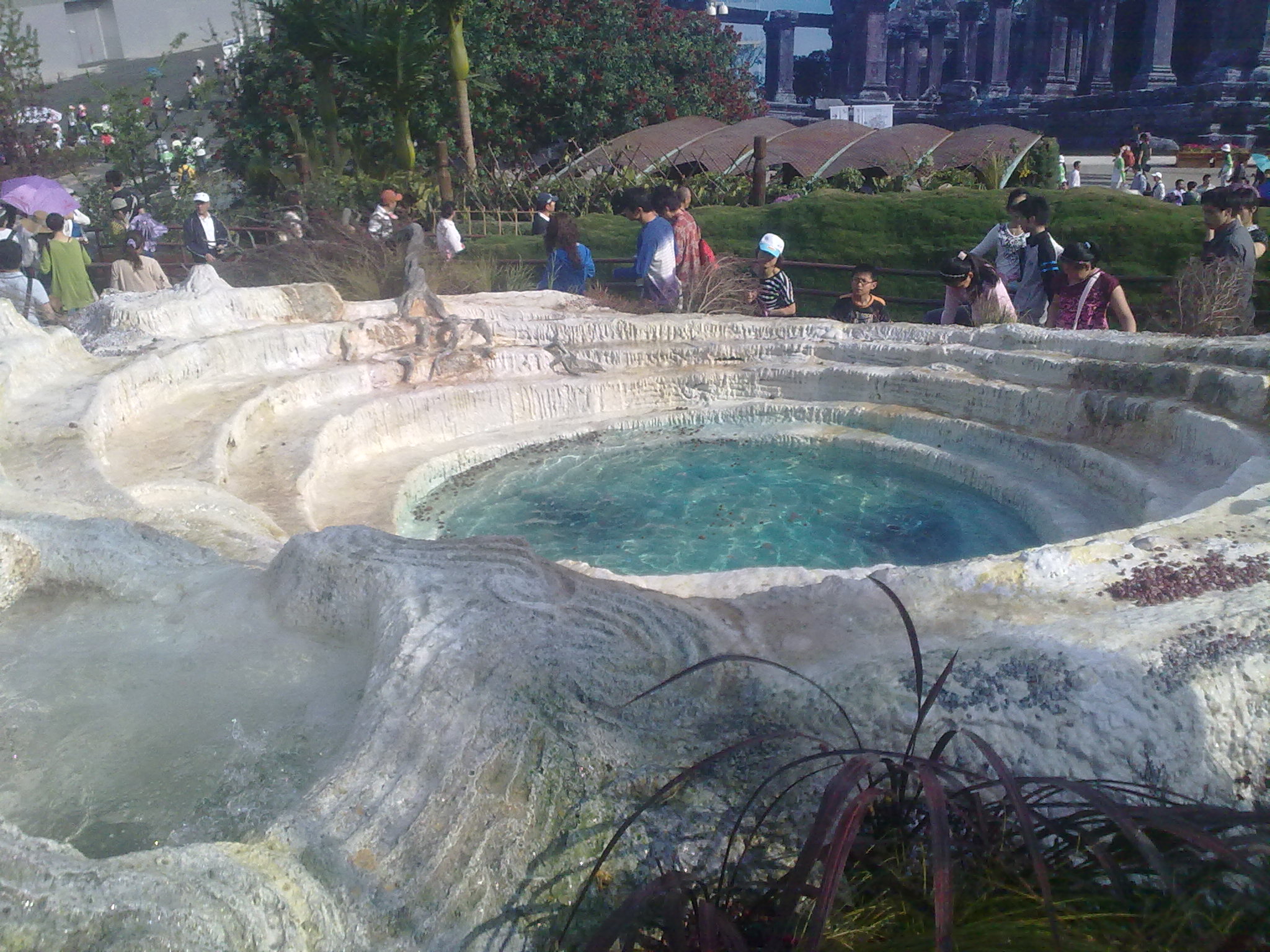 20100502124.jpg