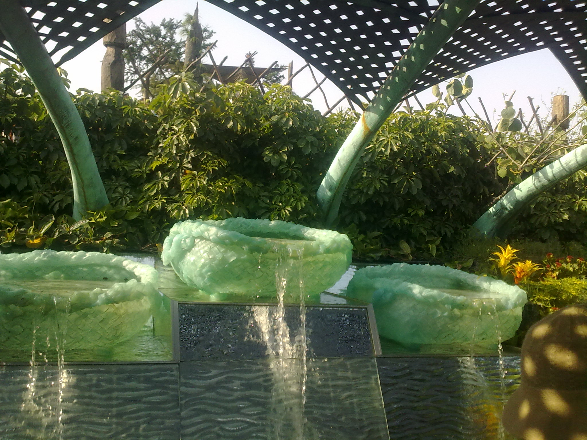 20100502125.jpg