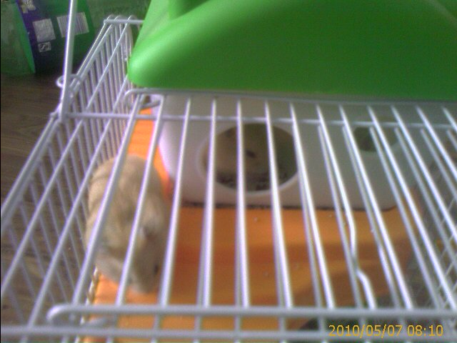 IMAGE_00002.jpg