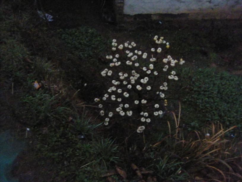 DSCF3916.JPG