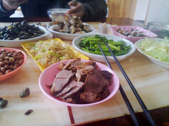 20100509931.jpg