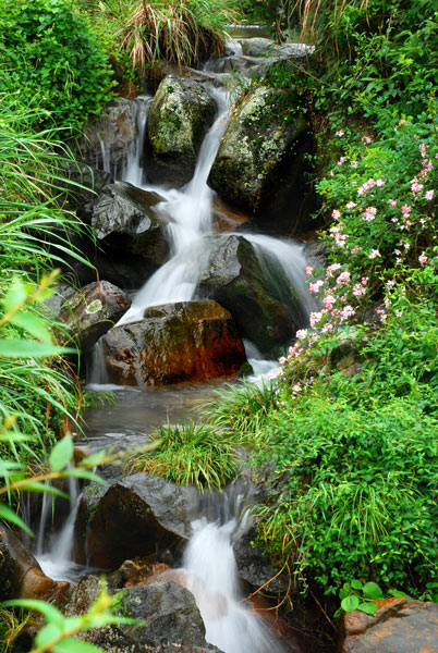 DSC_9583.jpg