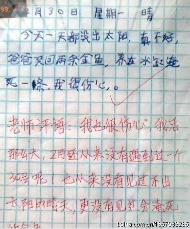 p_large_x4gD_4b890006d8882d10.jpg