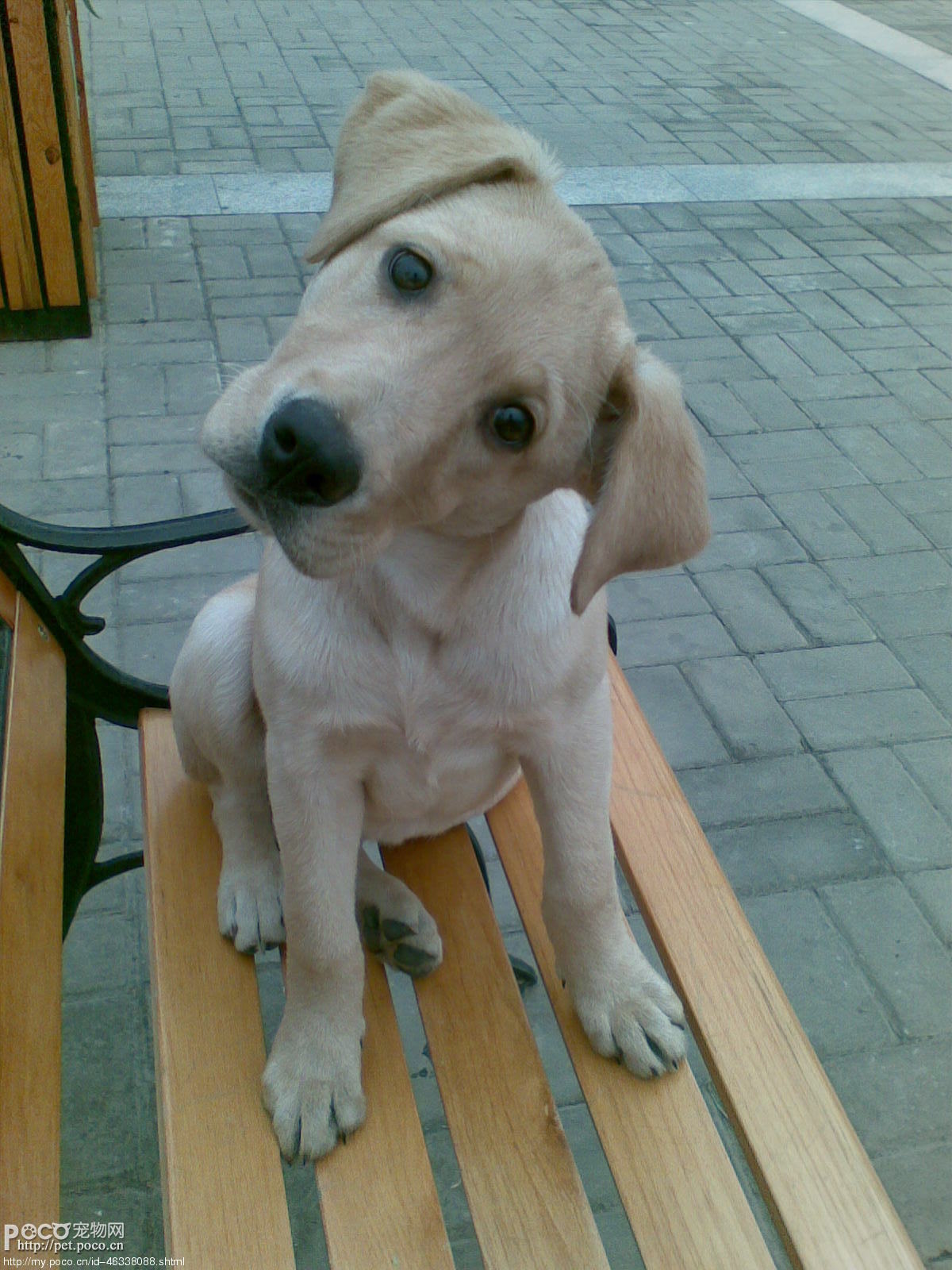 20081217_7beee27692500fd8ca7b7jy1csaLGizc.jpg