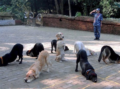 什么功夫.jpeg