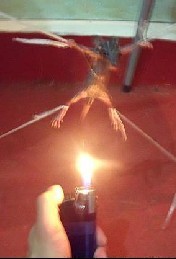 55.jpg