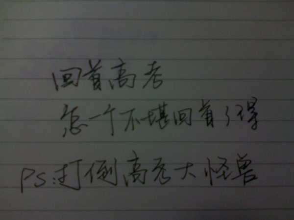 p_large_54Pb_4b830001e6d12d10.jpg