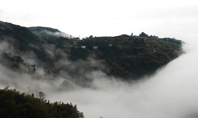 DSC_0312.jpg
