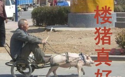 楼主真好.jpg