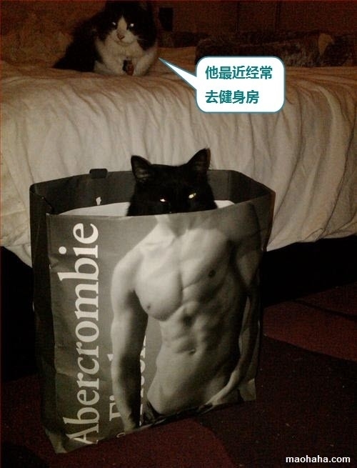 p_large_GMkk_20a000015aaa2d0d.jpg