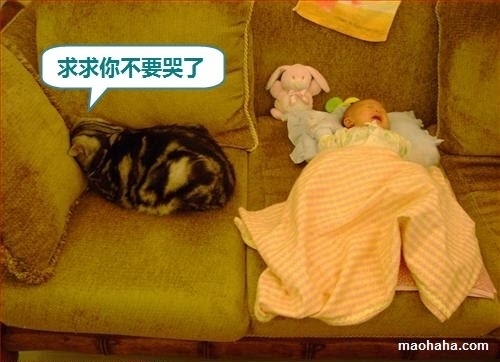 p_large_uyYx_153f000041fb2d10.jpg