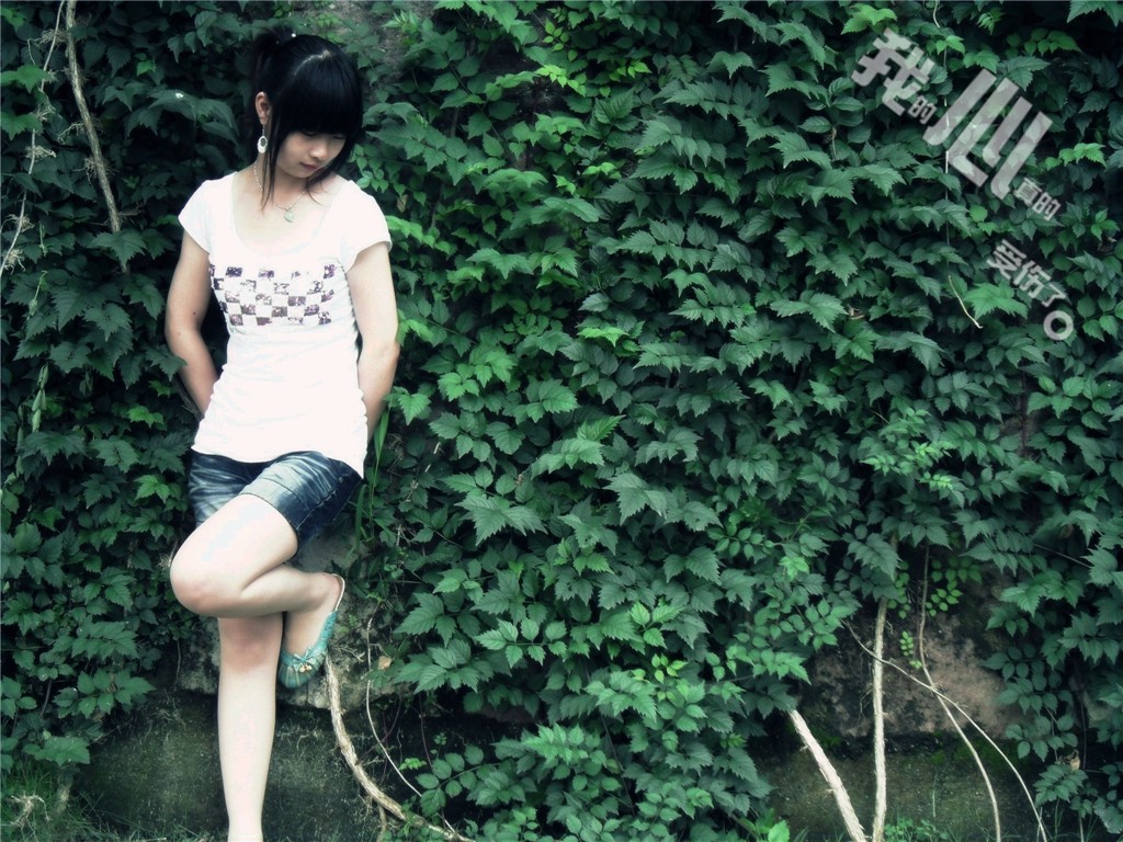 SDC12935_副本_副本.jpg