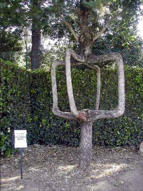 g.jpg