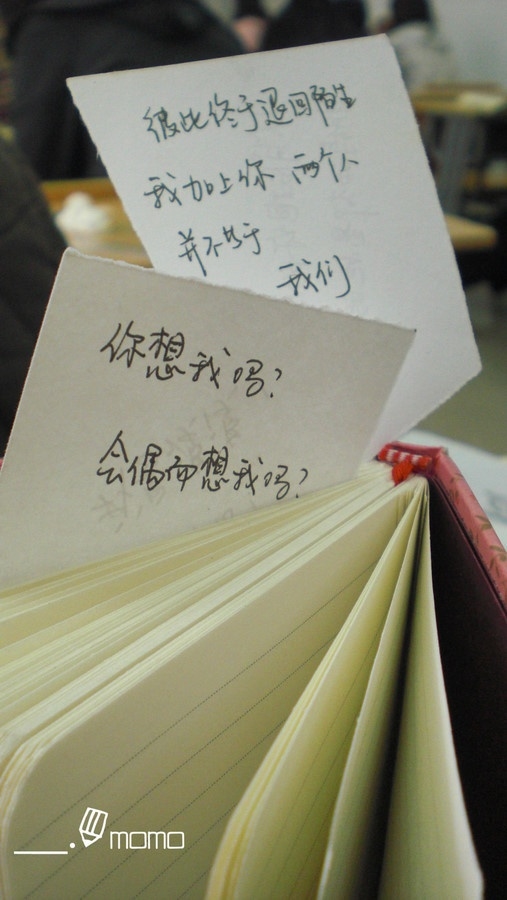 p_large_WkGl_74a2000154a72d0b.jpg