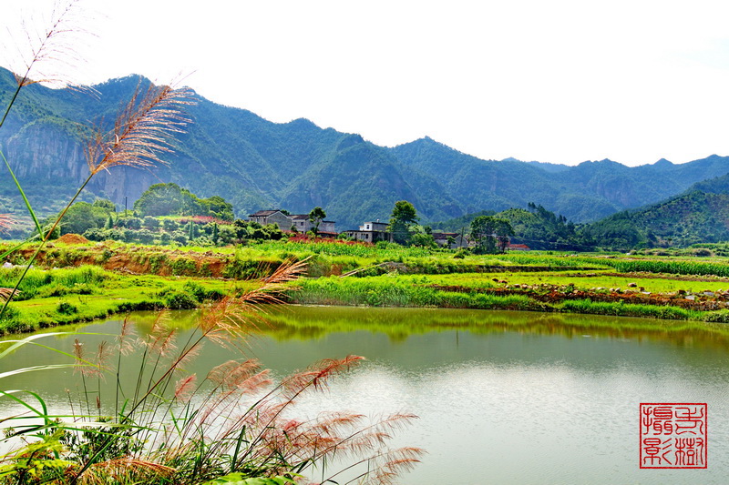 IMG_5457_缩小大小.jpg