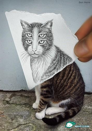 1277547433638[1].jpg