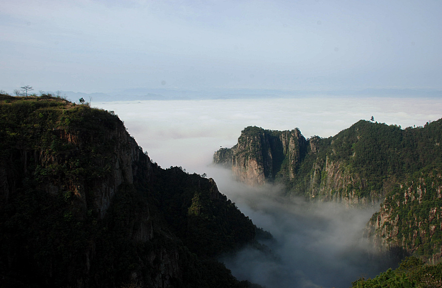 DSC_0594.jpg
