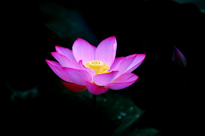 IMG_6759_调整大小.jpg