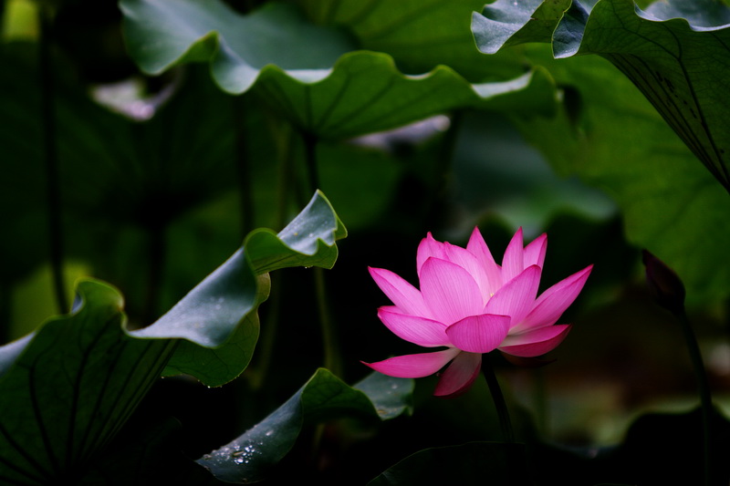 IMG_6764_调整大小.jpg