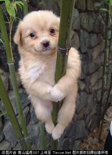 2010_7_1_13_11400013.jpg
