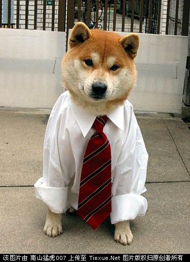 2010_7_1_51_11400051.jpg