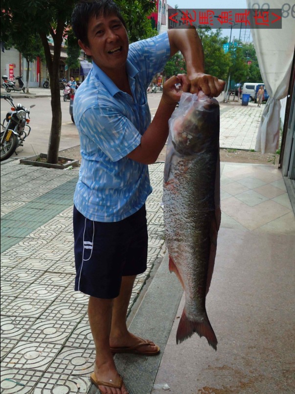 未命名.jpg