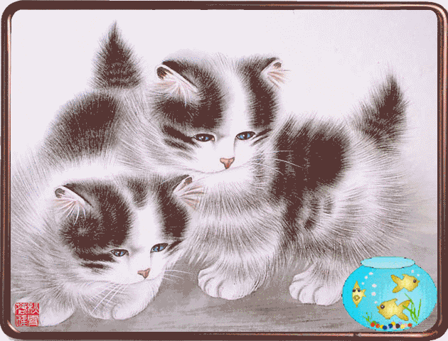 6.gif